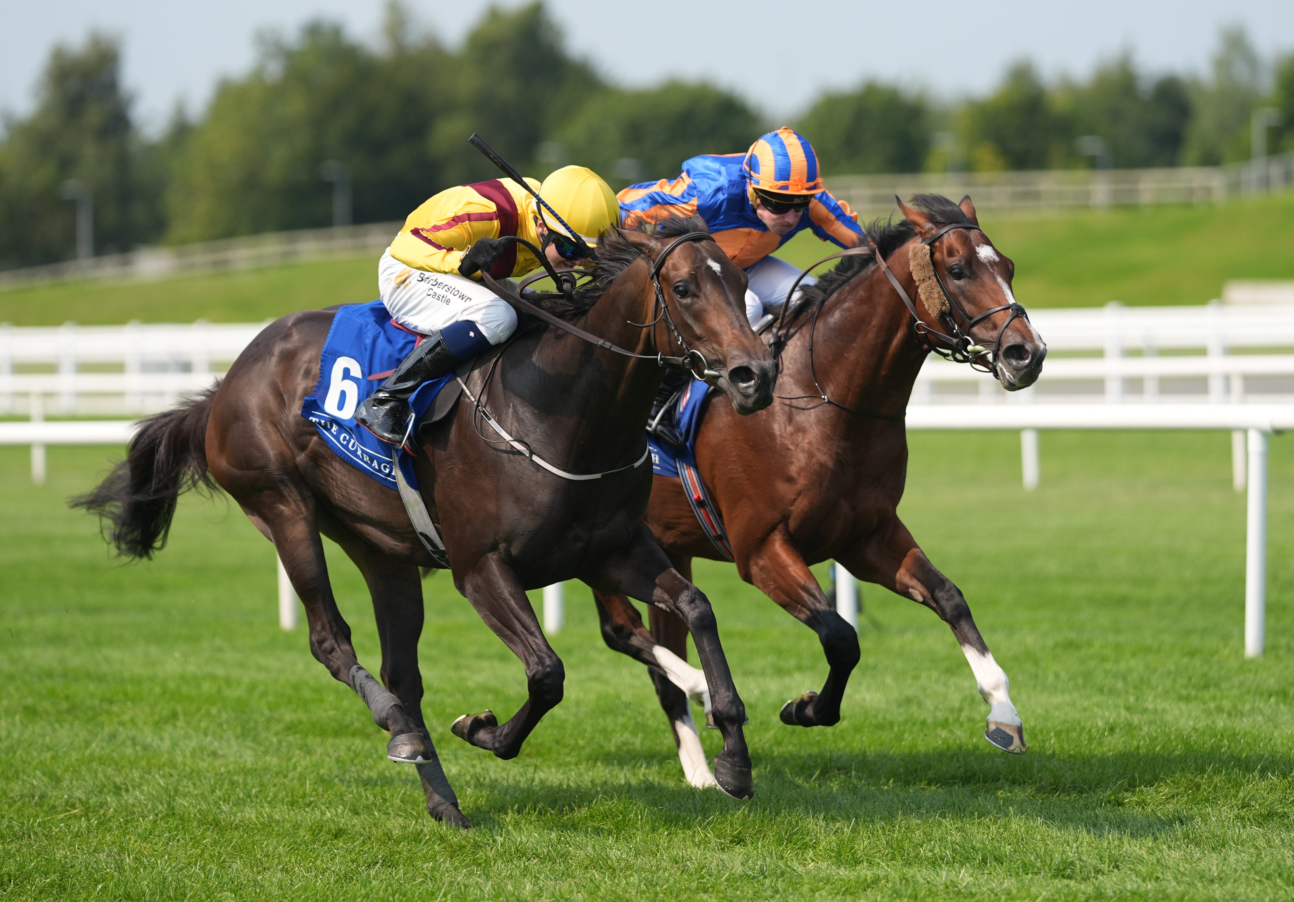 Ipanema Queen (left) is a dual winner at the Curragh